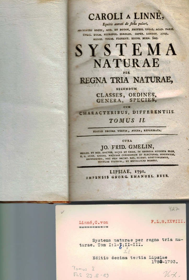 Linné C.