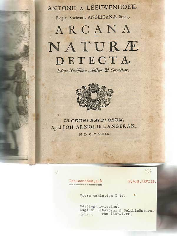 Leeuwenhoek, Arcana naturae