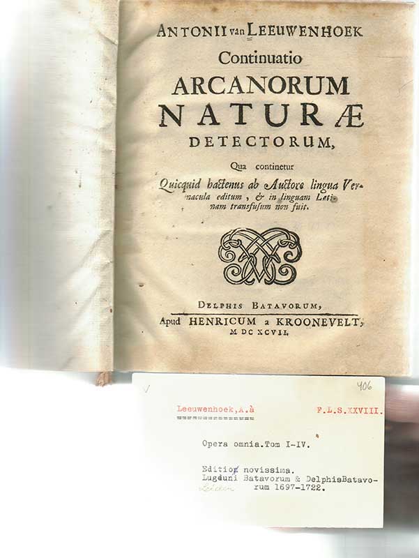 Leeuwenhoek, Continuation arcanorum