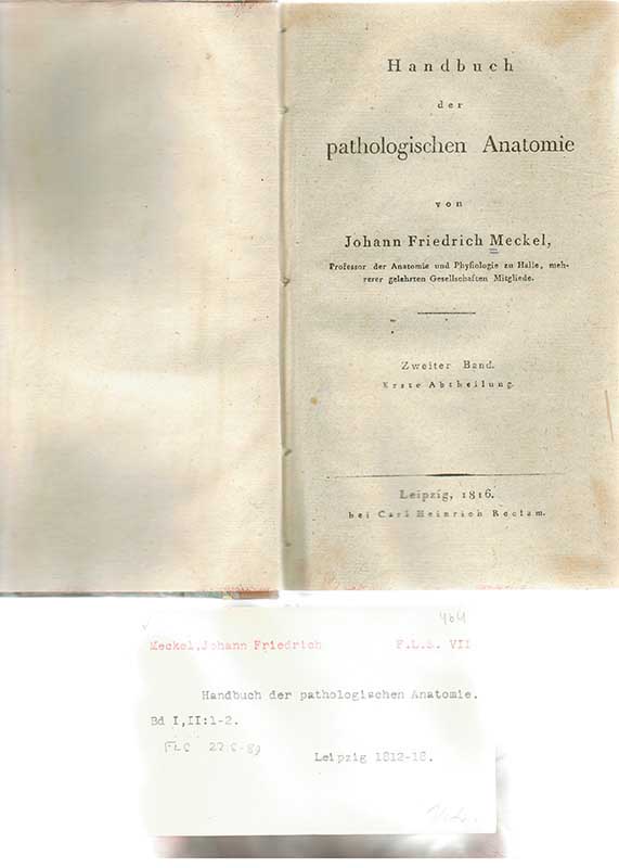 Meckel, J. F. Pat. anatomi II
