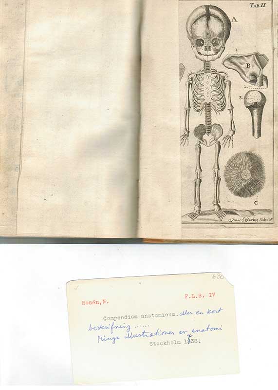 Rosenmüller, J.Chr. Anatomi 1833