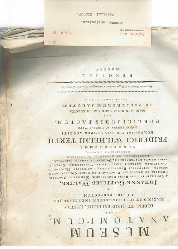 Walter, J.G. Anatomi 1805