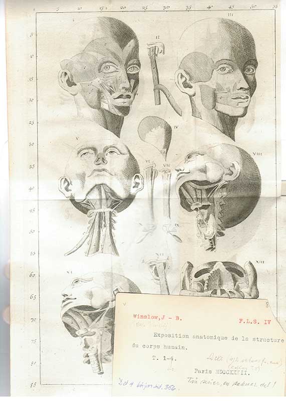 Winslow, J.B. Anatomi BILD II
